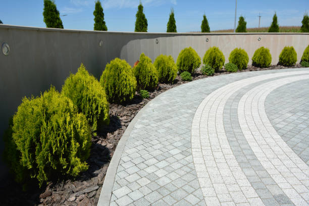 Best Decorative Driveway Paving in Westmont, IL